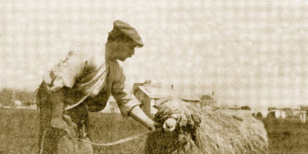 Pastor de la Estancia Tres Chorrillos, Magallanes, 1920