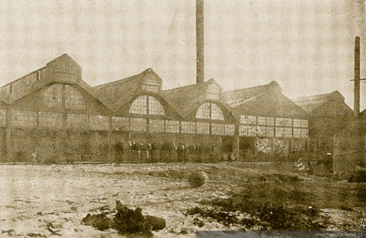 Fábrica de conservas de la Sociedad Frigorífica de Punta Arenas, 1920