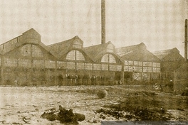 Fábrica de conservas de la Sociedad Frigorífica de Punta Arenas, 1920