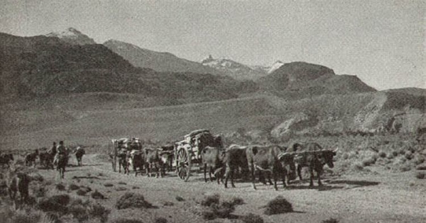 Carretas de viaje en el valle Chacabuco, Aysén, hacia 1935