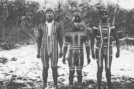 Hombres pintados con tari, dibujos totémicos usados durante la danza del Kewánix, Hain de 1923