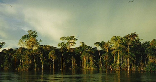 Atardecer en el río Ucayali, Perú, 2000