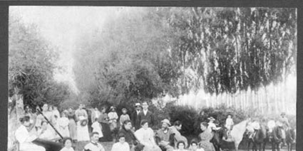 Paseo al campo, familia Vergara-Errázuriz, ca. 1900