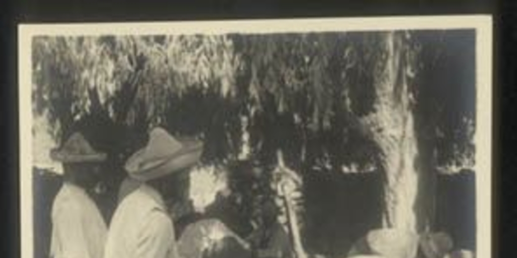 Ovejeros esquilan ovejas en Hacienda el Huique, ca. 1930