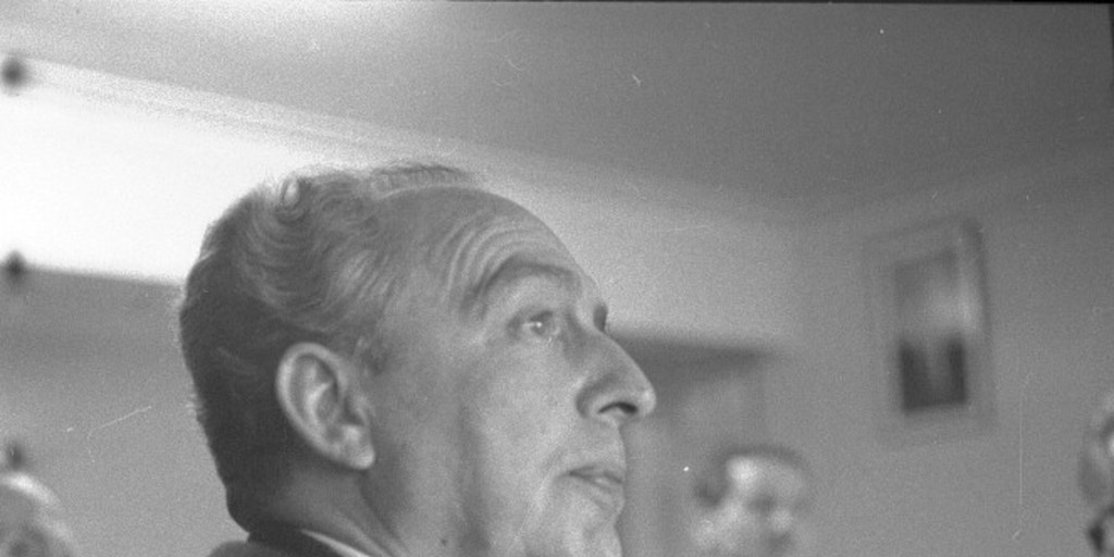 Eugenio Dittborn, ca. 1960