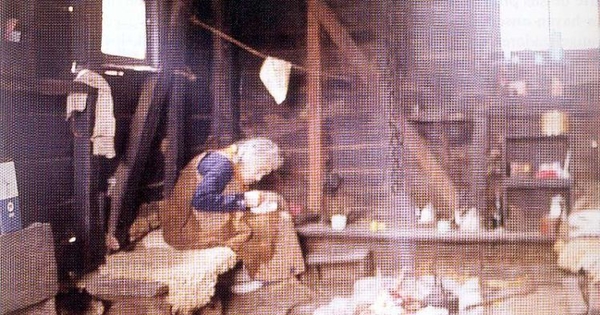 Dueña de casa en su cocina en Quenac, Chiloé, ca. 1970