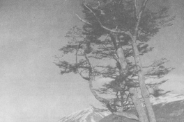 Puerto Williams en la isla Navarino, el poblado más austral de Chile, 1961