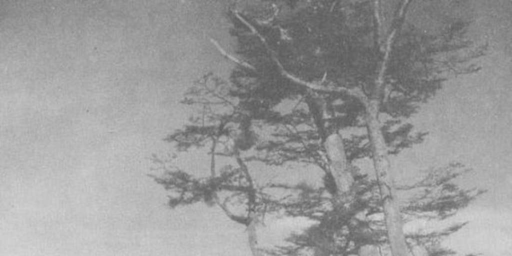 Puerto Williams en la isla Navarino, el poblado más austral de Chile, 1961