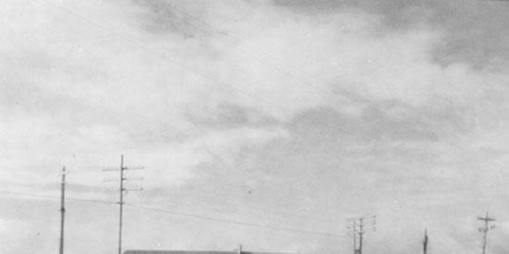 Ovejeros junto a su rebaño, Punta Arenas, hacia 1950