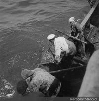 Pescadores en faenas de pesca, hacia 1960