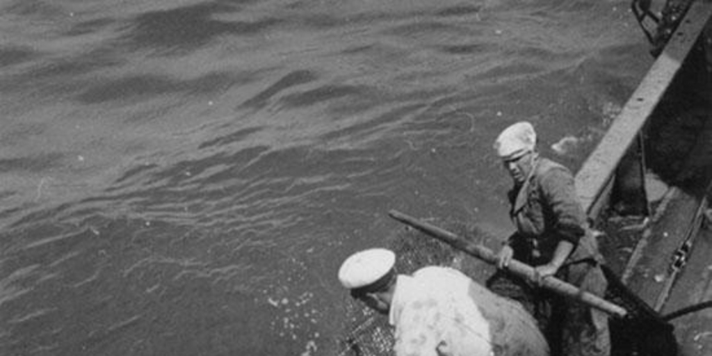 Pescadores en faenas de pesca, hacia 1960