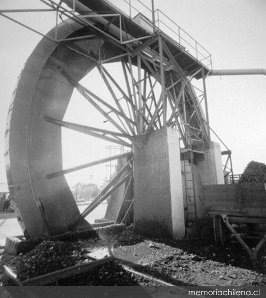 Proceso de extracción de la remolacha azucarera en la industria Iansa, Los Ángeles, hacia 1965