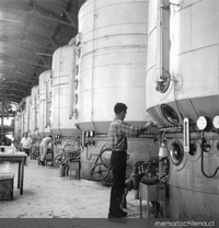 Manufactura y refinación de la producción de azúcar en la industria Iansa, Los Ángeles, hacia 1965