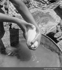 Lavandera enjuaga ropa en una batea, hacia 1965