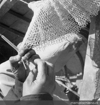 Pescador, detalle de su mano cosiendo una red, hacia 1960