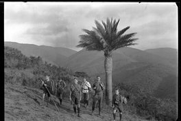 Grupo junto a palma, ca. 1900