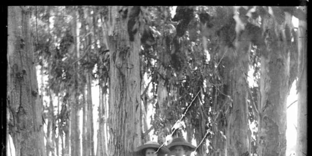 Mujeres en un bosque, ca. 1900