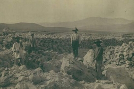 Trabajadores del salitre, ca. 1906
