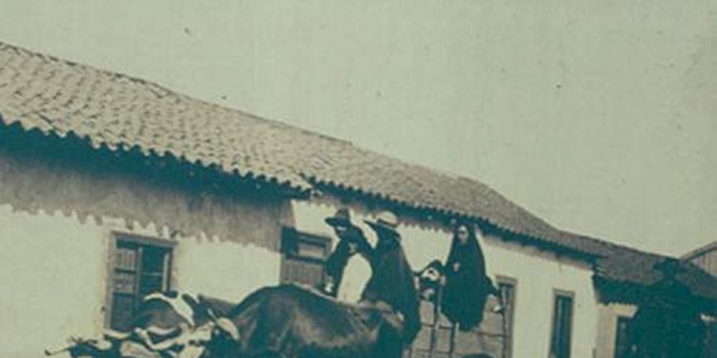Grupo en carreta, ca. 1906