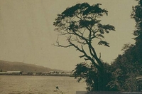 Vista a un lago, ca. 1906