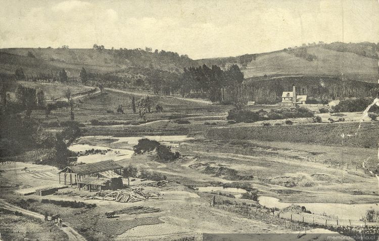 Traiguen y alrededores 1919 Memoria Chilena Biblioteca Nacional de Chile