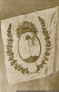 Bandera del Ejército Libertador, 1818