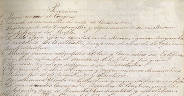 [Notas del obispo Elizondo sobre el Primer Congreso de Chile] : [manuscrito]