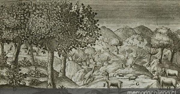 El reino de Quito y sus animales, 1748