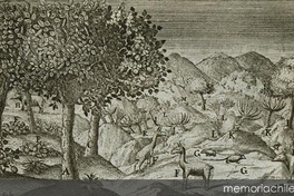 El reino de Quito y sus animales, 1748