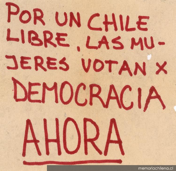 Las mujeres votan por democracia ahora, 1983-1988