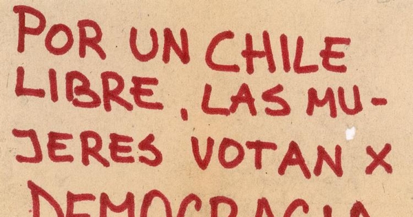 Las mujeres votan por democracia ahora, 1983-1988