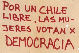 Las mujeres votan por democracia ahora, 1983-1988