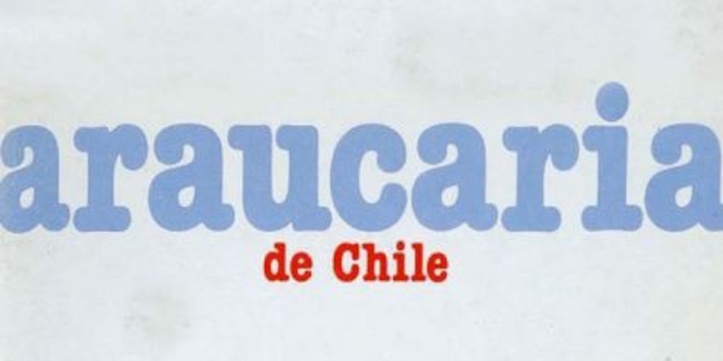 Sobre la lucha y poesía del pueblo mapuche