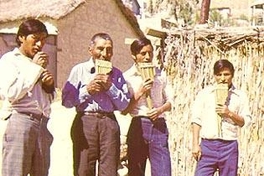 La dualidad en la zampoña, 1975