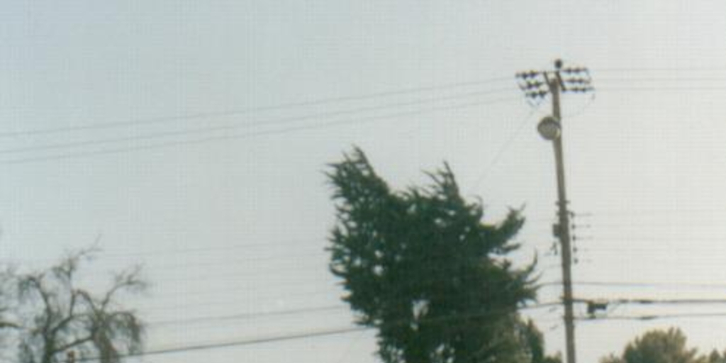 Figurina en Fiesta de La Candelaria, Copiapó, 1996