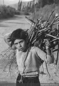 Niño transportando leña