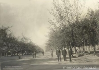 Alameda en Rancagua, ca. 1930