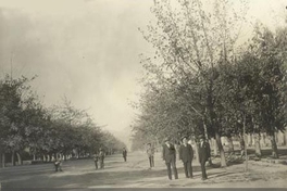 Alameda en Rancagua, ca. 1930