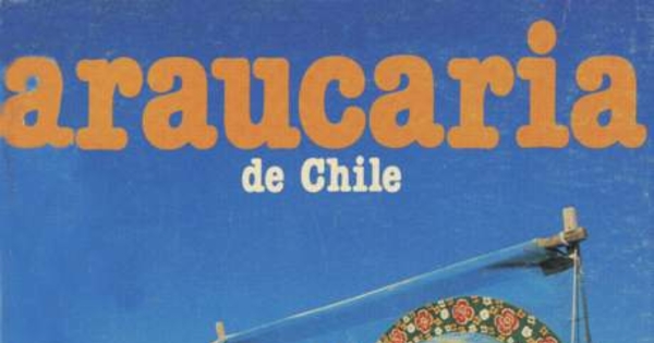 Portada que reproduce fotografía de Rodrigo Rojas, 1988