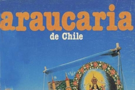 Portada que reproduce fotografía de Rodrigo Rojas, 1988
