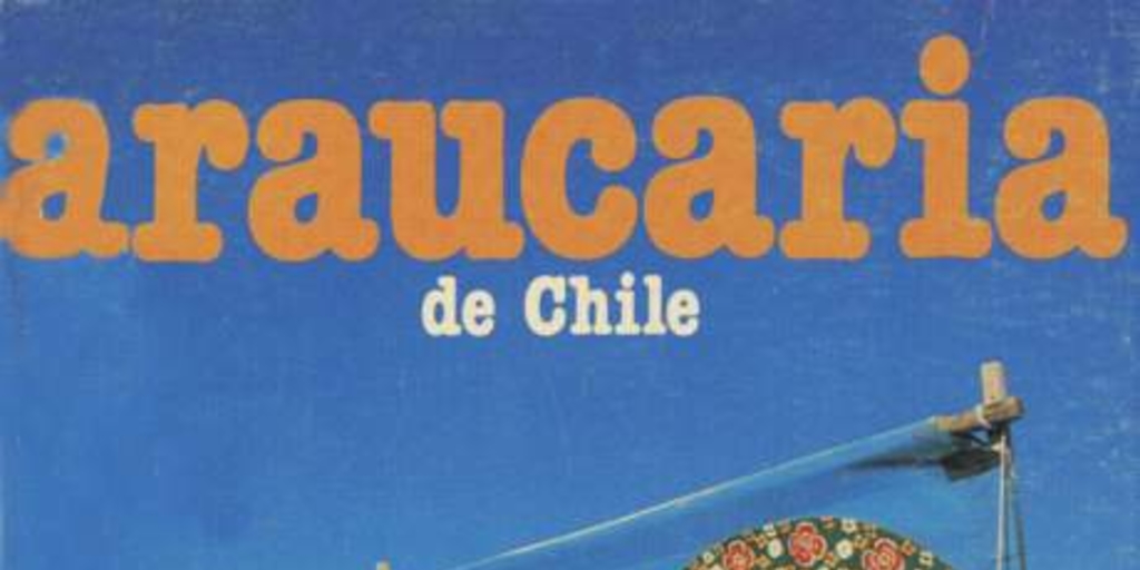 Portada que reproduce fotografía de Rodrigo Rojas, 1988