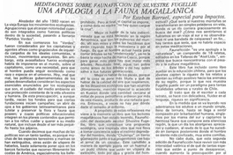 Una apología a la fauna magallánica