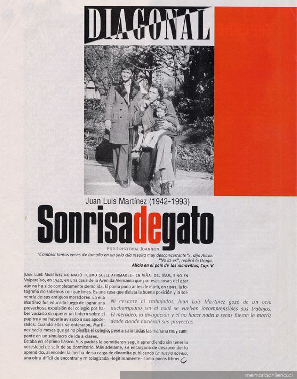 Sonrisa de gato
