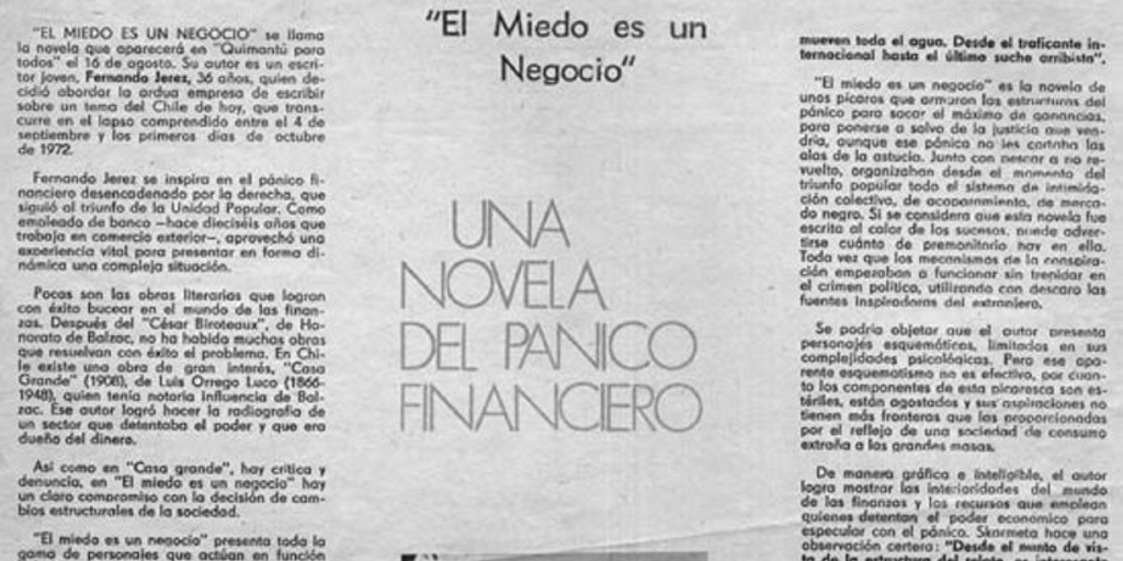 Una novela del pánico financiero