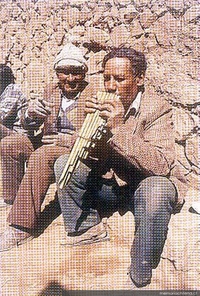 Ejecución de zampoña, Río Grande, I Región, ca. 1998