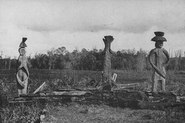 Grupo de chemamüll o estatuas de madera en un cementerio mapuche