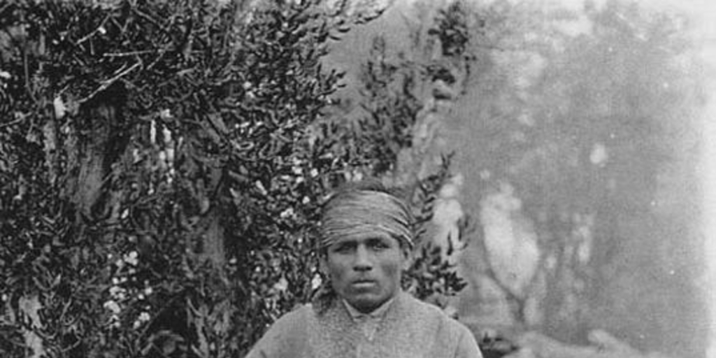 Segundo Jara Kalfun, "El poeta de las selvas", ca. 1880
