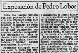 Exposición de Pedro Lobos