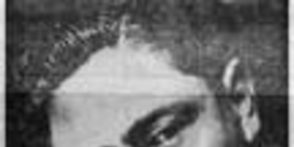 Mario Bahamonde : el caudillo de Copiapó