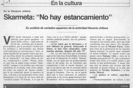 Skarmeta, "no hay estancamiento"